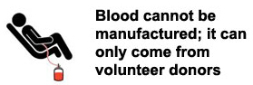 Blood Supply